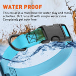 Dogline waterproof pet collar with black electroplated D ring hardware