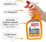 Cat mess cleaner spray targeting tough dried upholstery stains.