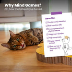 Catstages 2-in-1 cat scratcher and interactive toy component breakdown