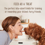 All natural slow cooked human grade beef savory dog treats bag