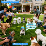 Pet wearing blue cake birthday hat for party photoshoot