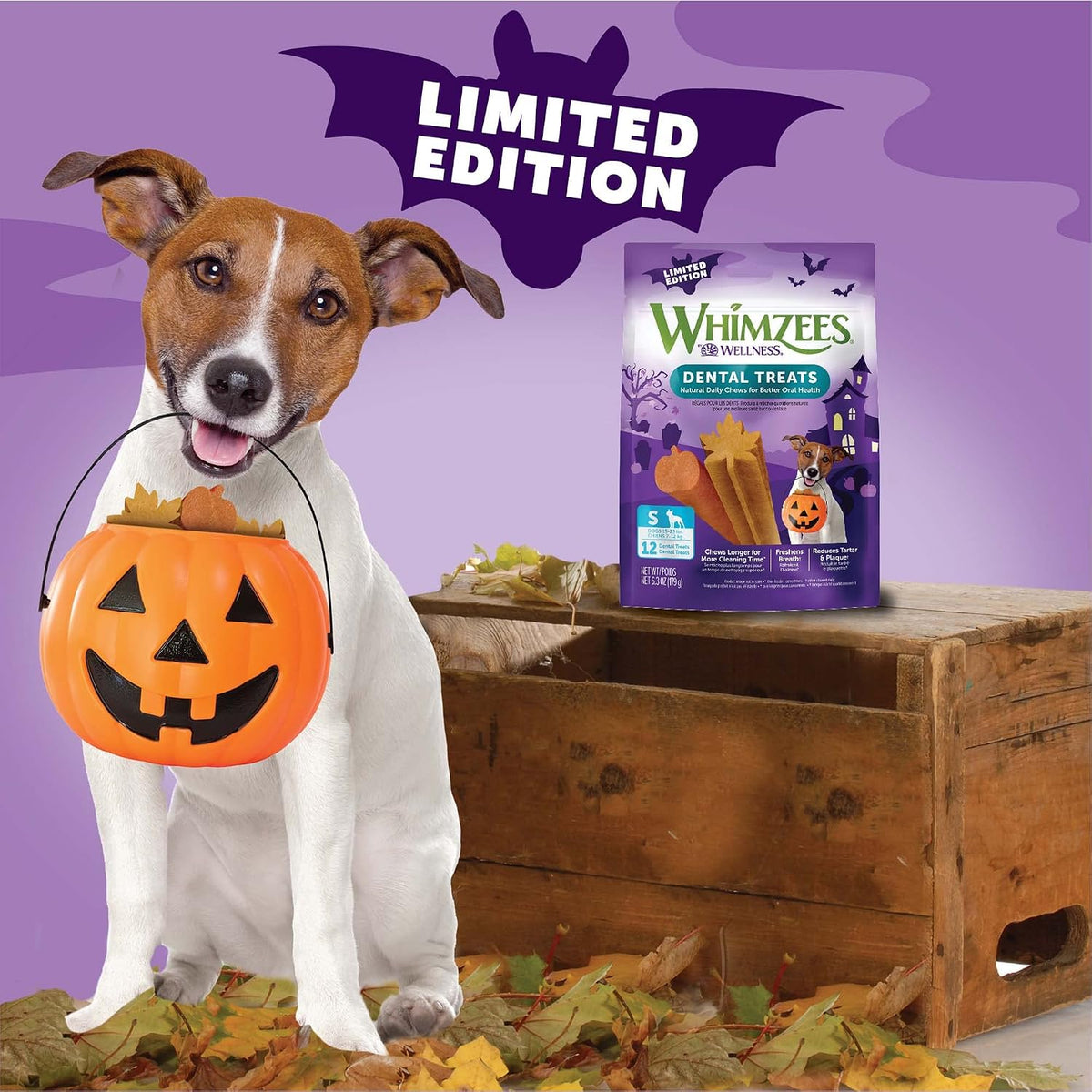 Small dog enjoying a Whimzees dental chew
