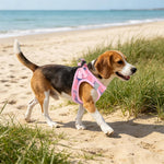 PUPTECK Adjustable Dog Harness Collar and Leash Set Step in No Pull Pet Harness for Small Medium Dogs Puppy and Cats Outdoor Walking Running, Soft Mesh Padded Reflective Vest Harnesses, Pink XL - Image 9