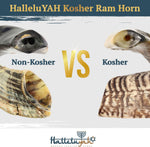 HalleluYAH KOSHER ODORLESS Ram Horn Shofar - 14"-16", Smooth Mouthpiece, Velvet Bag, Clean Brush, Shofar Guide - Made In Israel - Image 6