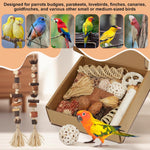 ZooVibe hanging foraging box showing hidden treat compartments for cockatiels