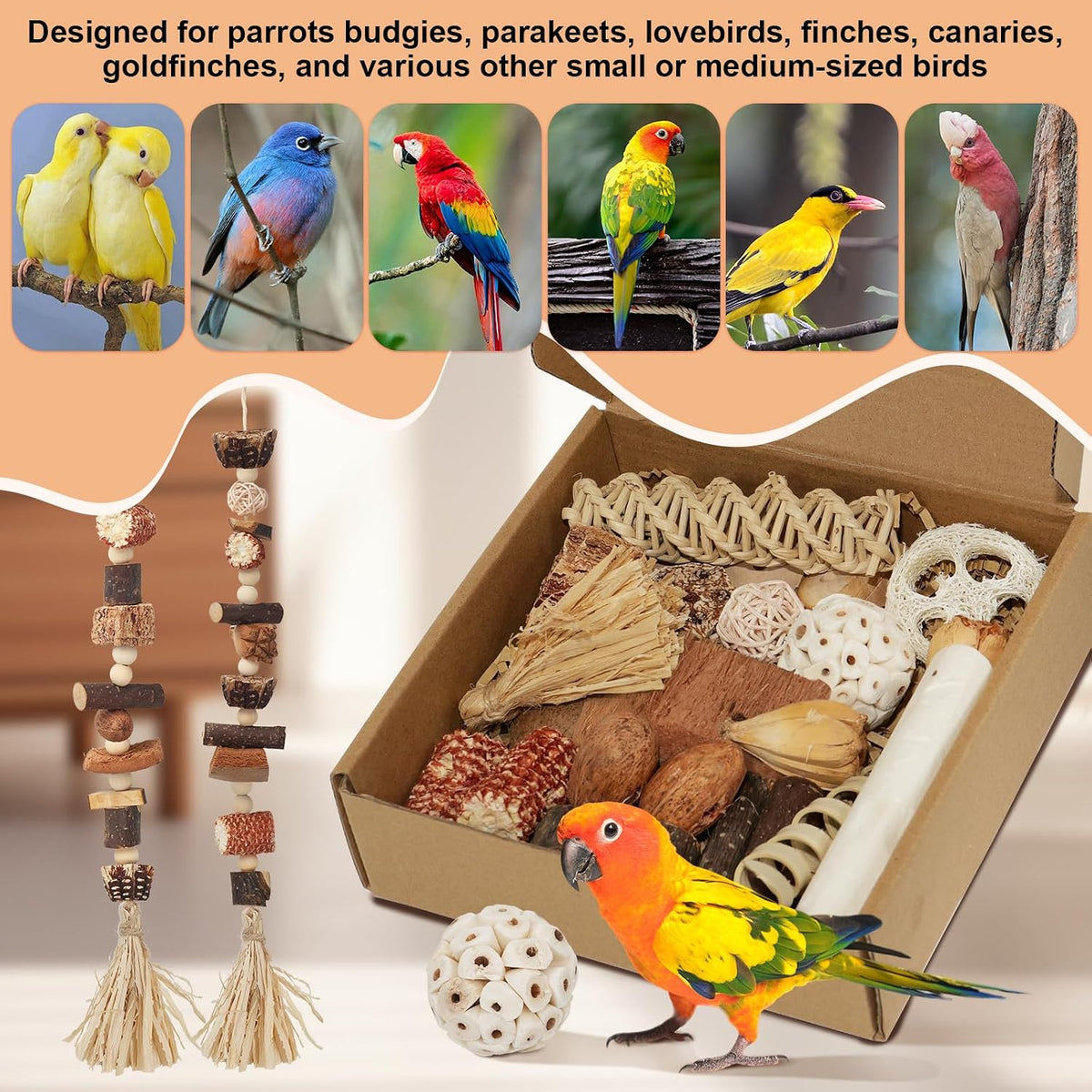 ZooVibe hanging foraging box showing hidden treat compartments for cockatiels