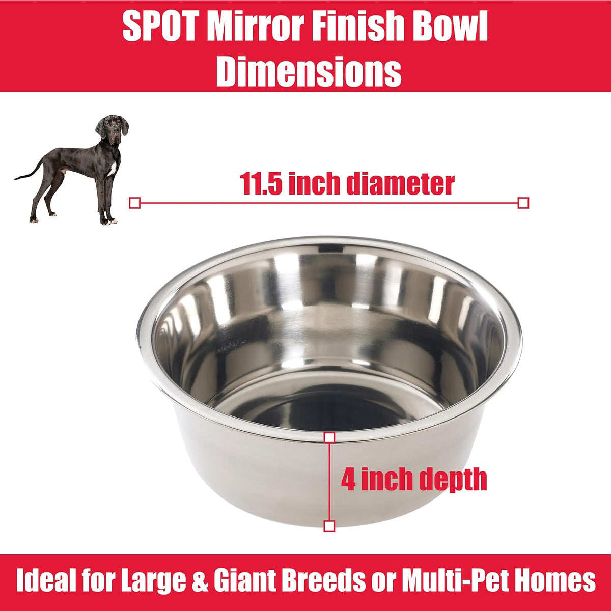 Spot 5 quart dog bowl filled with kibble for large breeds