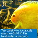 Freshwater aquarium water testing kit close up