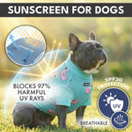 Dog wearing Spark Paws sunblock shirt for UV protection