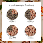 Dog food roll sliced on a plate for serving
