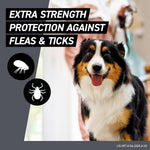Three count pack of monthly flea and tick prevention for dogs