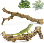 Reptile Branches for Climbing Natural Snake Climb Branch Extra Large Wood Forest Tree Trunk Decor Lizard Habitat Terrarium Decorations for Bearded Dragon Geckos Chameleon Frog - Image 12