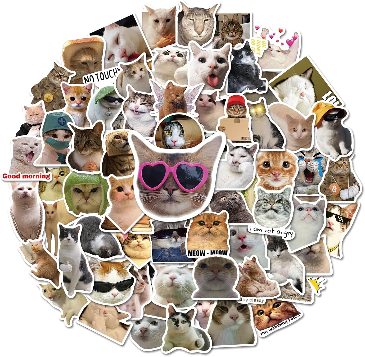 Fuzmo 100 pieces cat meme stickers pack front view