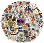 Fuzmo 100 pieces cat meme stickers pack front view