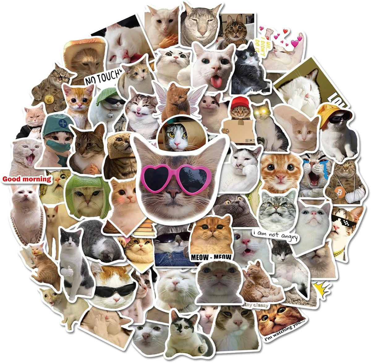 Fuzmo 100 pieces cat meme stickers pack front view