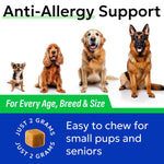 Bark&Spark sixty count allergy defense treats for itchy paws