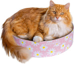 Catstages Scratch N' Hunt Interactive Cat Puzzle Toy with Scratcher Corrugate for Nail Care, Engages Hunting Instincts - Image 11