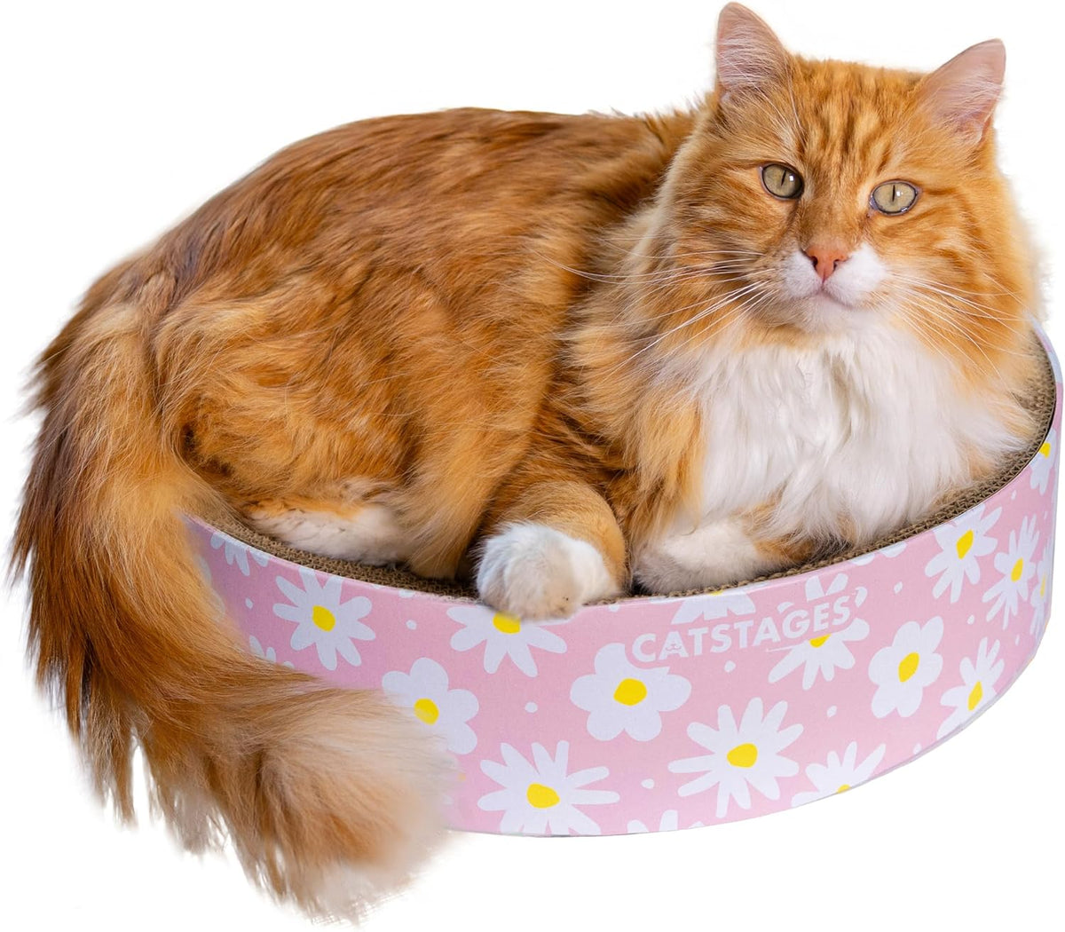 Catstages Scratch N' Hunt Interactive Cat Puzzle Toy with Scratcher Corrugate for Nail Care, Engages Hunting Instincts - Image 11