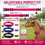 Gindoor high density nylon sheep collar close up highlighting the quick release ABS buckle