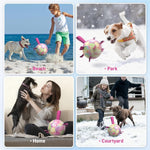 Interactive dog toy with nylon tabs for tug of war