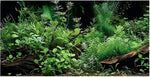 Anti glare reusable reptile terrarium background foliage pattern
