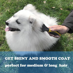 Side profile of Pet Republique dog and cat dematter