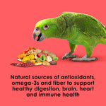 Kaytee Fiesta parrot food bag showing brand logo