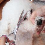 Dog Grooming Scissors with Safety Round Tips Stainless Steel Professional Dog Grooming Kit - Thinning, Curved Scissors and Comb for Cat Pet (Pink 4 in 1) - Image 9