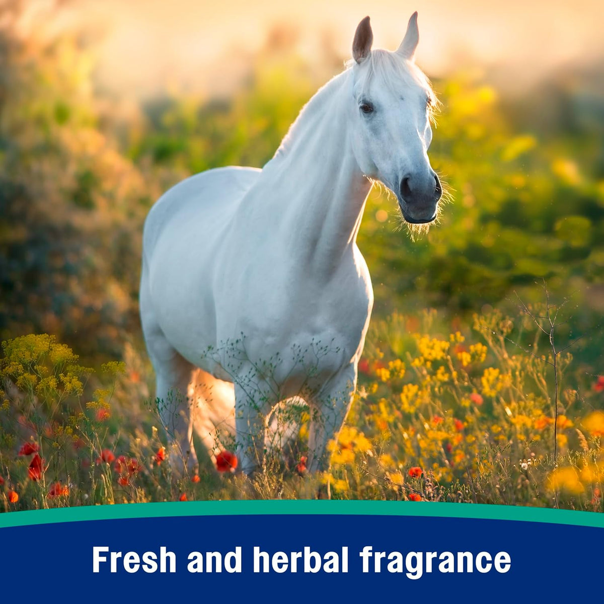 Authentic imported USA Farnam Natures Defense horse grooming spray