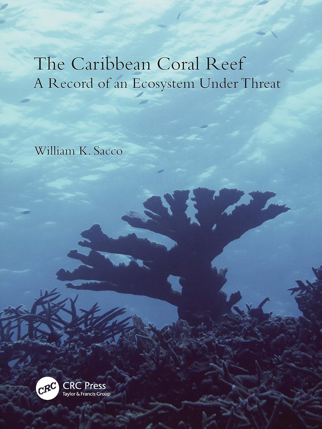 The Caribbean Coral Reef: A Record of an Ecosystem Under Threat - Image 1