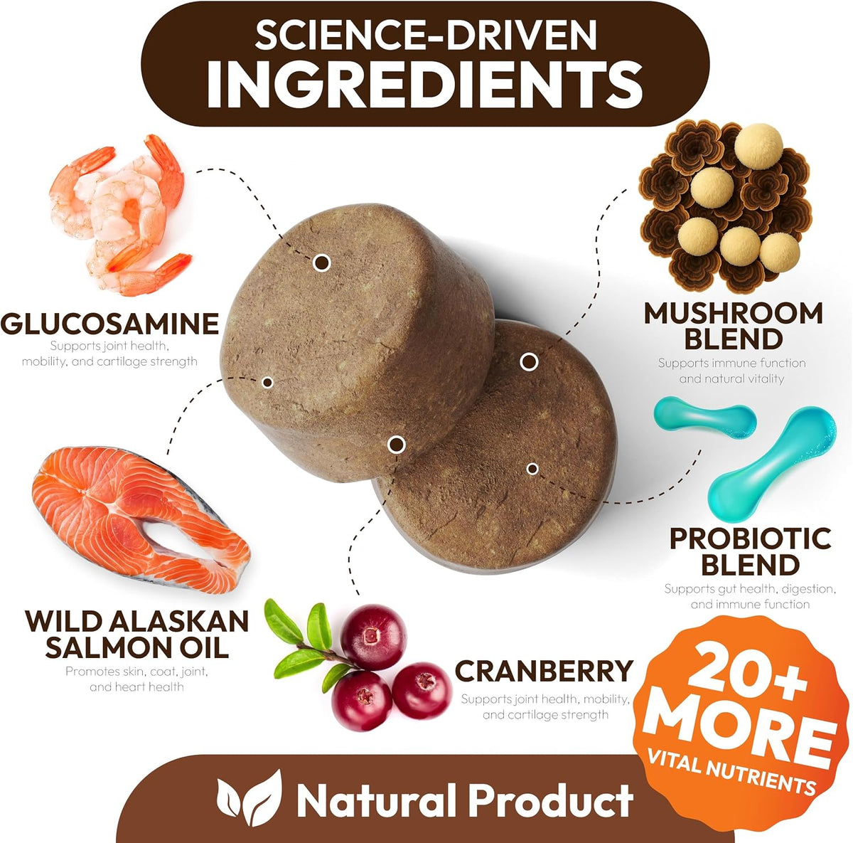 Petsology dog multivitamin tablets close-up showcasing chewable texture.