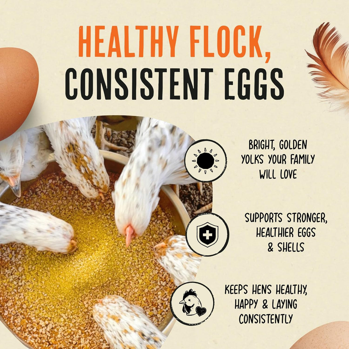 Back label of Roosty's Gold Dust showing full ingredients list and feeding instructions