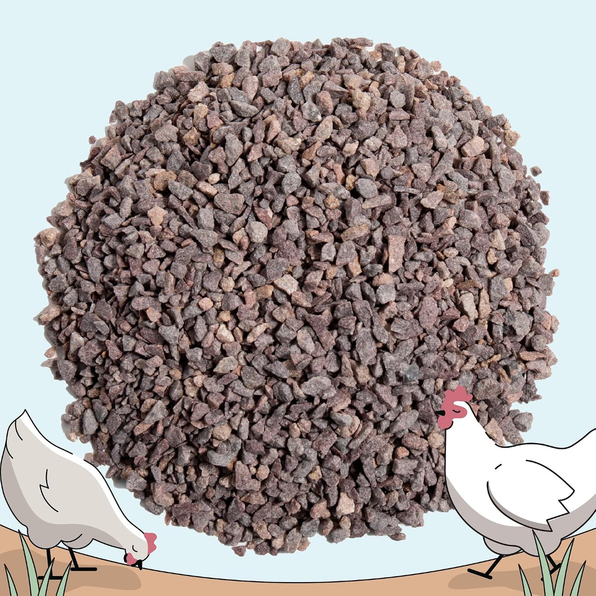 Comparison of starter grit and layer grower grit sizes