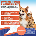 Beloved Pets liquid digestive supplement dropper showing clear fluid dosage