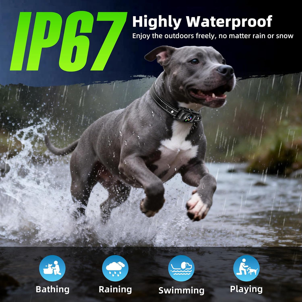Humanely designed vibration training collar for dogs