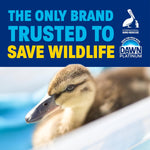 Dawn Ultra dish soap original blue liquid multi-surface cleaning bottle