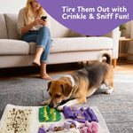 Small dog playing with Nocciola blueberry enrichment toy