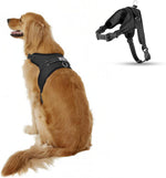 No Pull Reflective Adjustable Dog Harness With Handle- Comfortable Soft All Weather Mesh, Easy On Puppy Harness For Small Medium and Large Dogs (Blue) Small - Image 12