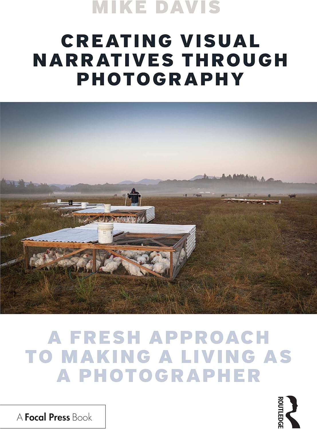 Creating Visual Narratives Through Photography: A Fresh Approach to Making a Living as a Photographer - Image 1