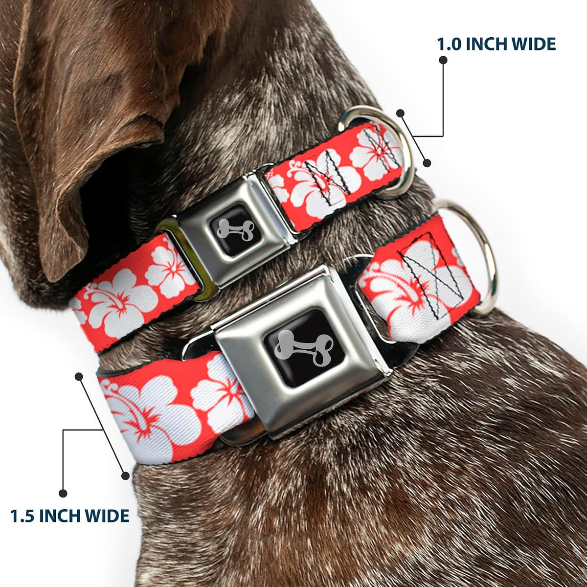 Buckle-Down small pet collar showing floral pattern and stainless steel ring