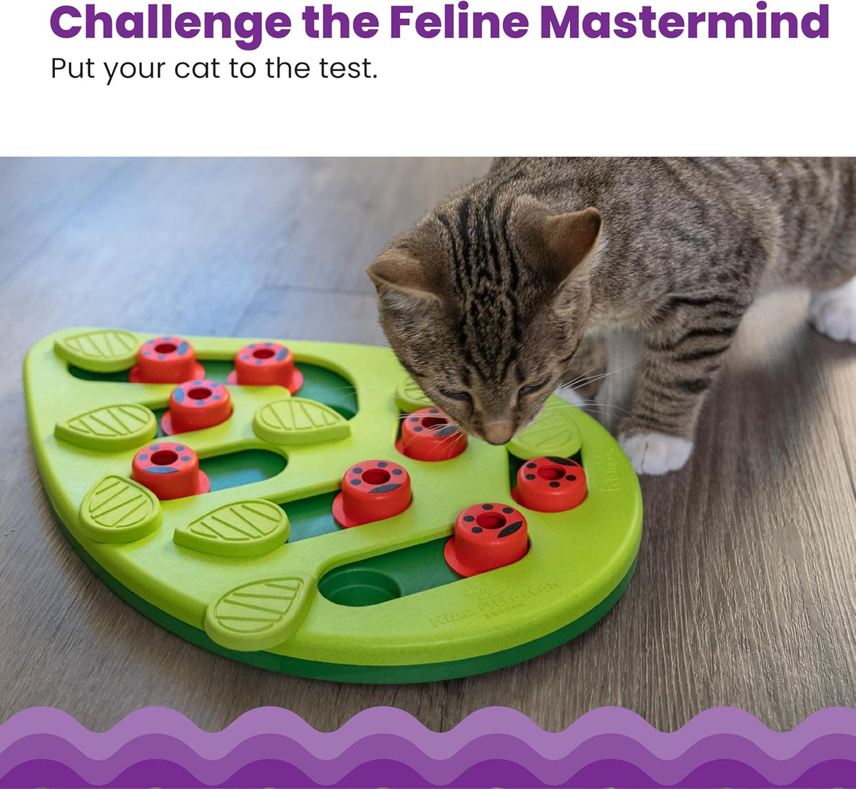 Catstages interactive cat treat puzzle with red ladybug pegs close up