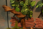 Aqua KT flexible jungle vine packaging and product display