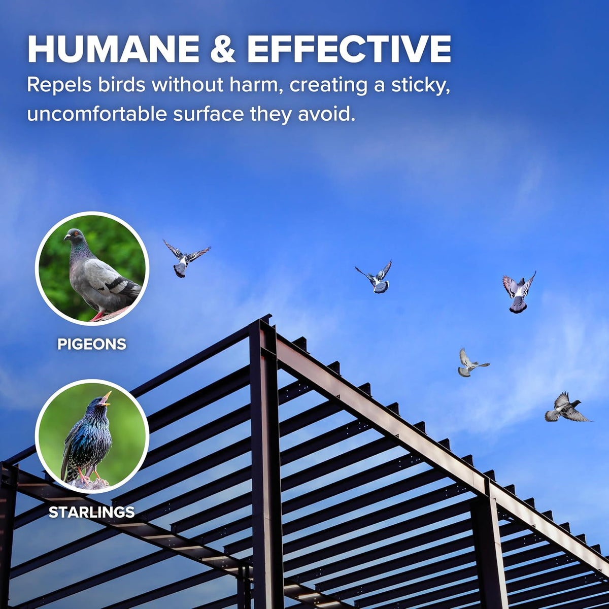 Authentic Bird B Gone bird control solution imported from the United States