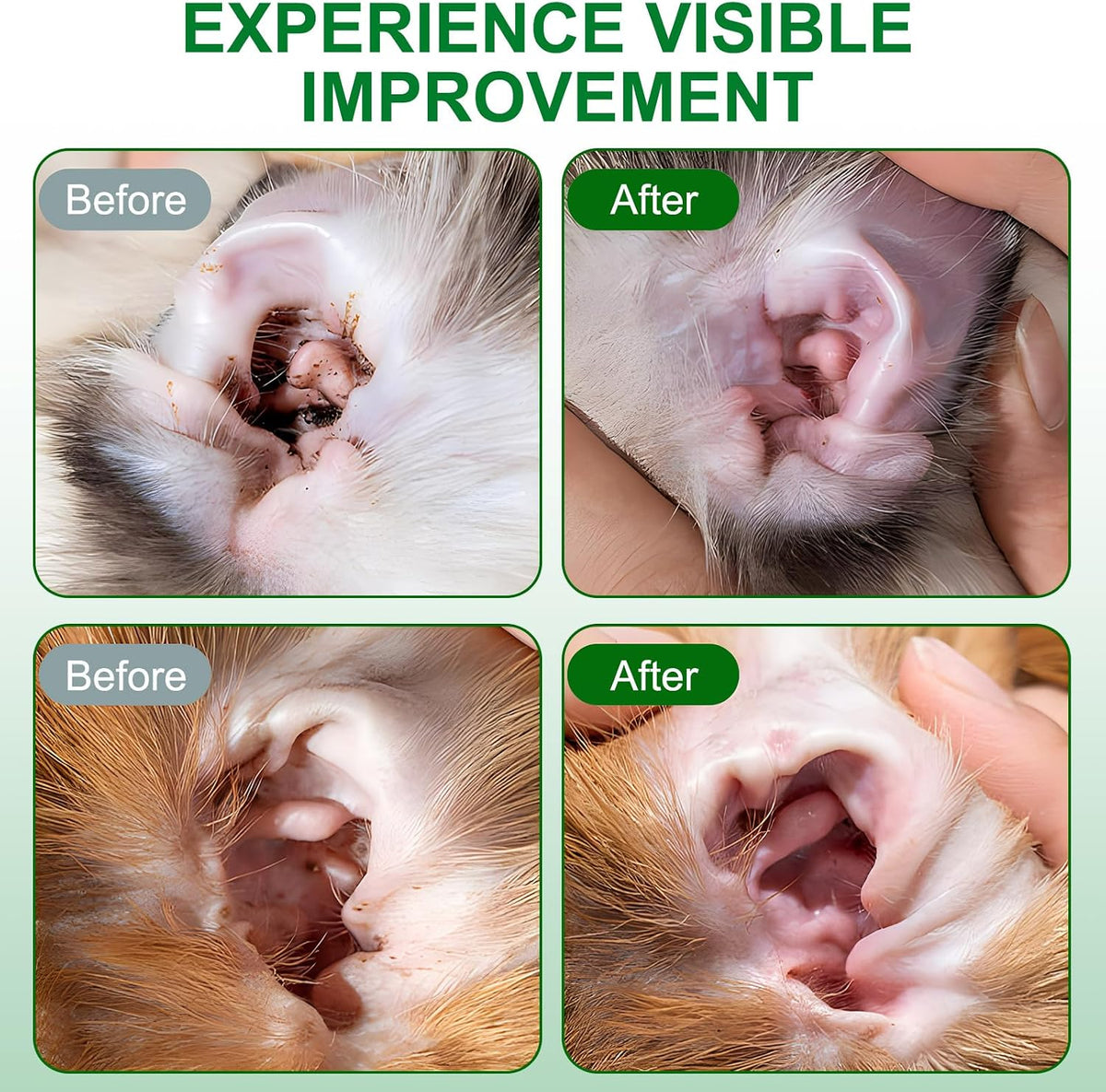 FANGCUN cat and dog ear wipes container back view