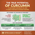 Turmeric Curcumin Supplement 2365mg - with Ginger & Black Pepper - 120 Caps | Antioxidant, Immunity & Joint Support - Highly Bioavailable & Extra Strength 95% Curcuminoids - Laboratory Tested - Image 9