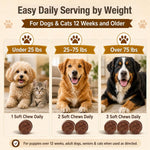 Chicken flavored TailSphere mushroom chews texture detail for adult and senior dogs