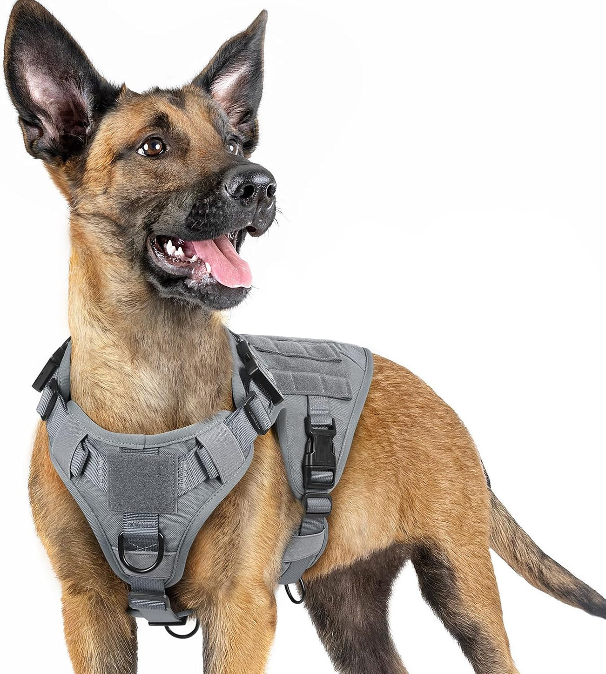 Rabbitgoo tactical dog harness front view showing grey military vest design
