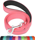 FunTags 6FT Red Reflective Dog Leash for Large & Medium Dogs Walking, Soft Padded Handle Comfortable Grip, Heavy Duty Nylon, Reflective for Night Walking, 1in Wide - Image 9