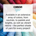 Caron Simply Soft Times Square Stripes Yarn lifestyle display