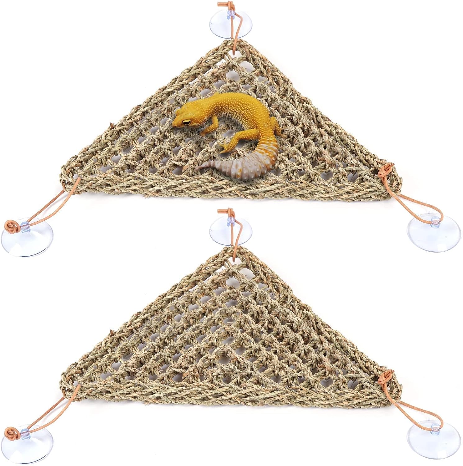 Kathson natural seagrass reptile hammock front view inside glass terrarium setup